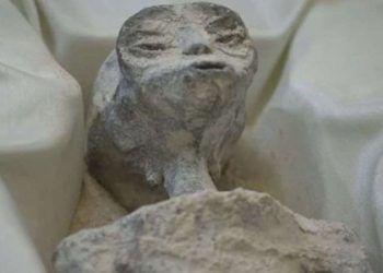Bir görüntü mumyalanmış uzaylıların gerçekte ne olduğunu gösteriyor